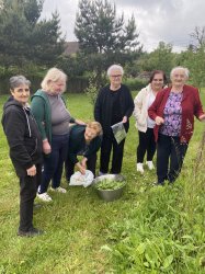 Liečivé rastliny a ich využitie- Nová Bašta